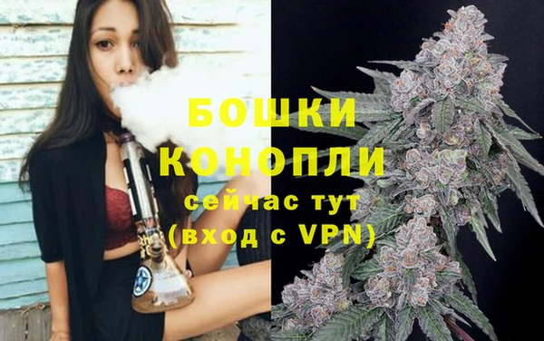 бошки Вязьма